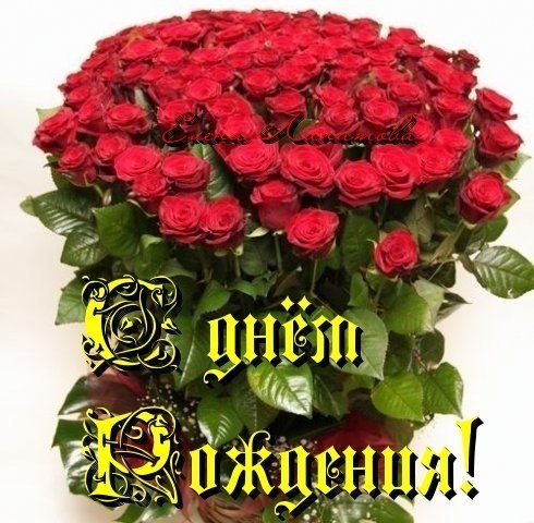 С Днём рождения, Наталья!!!