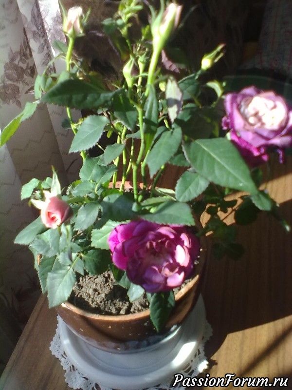 Шчыра дзякую! Искренне благодарю!