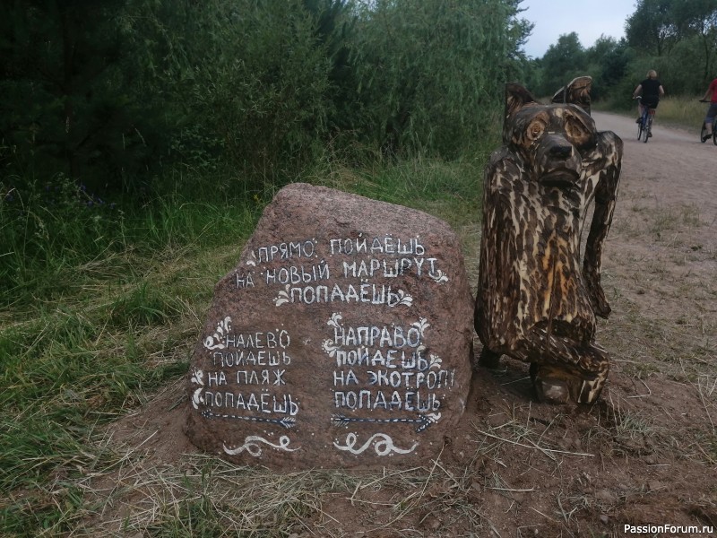 4 сезона на Цнянке