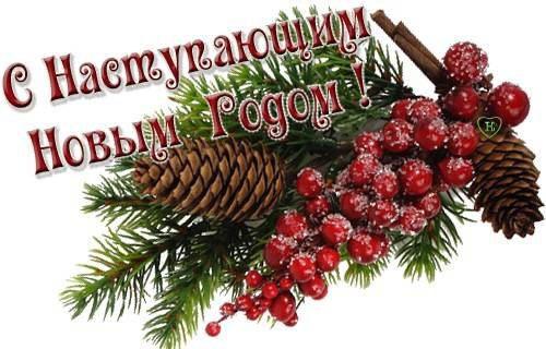 Моя новогодняя Феечка, спасибо тебе!!!