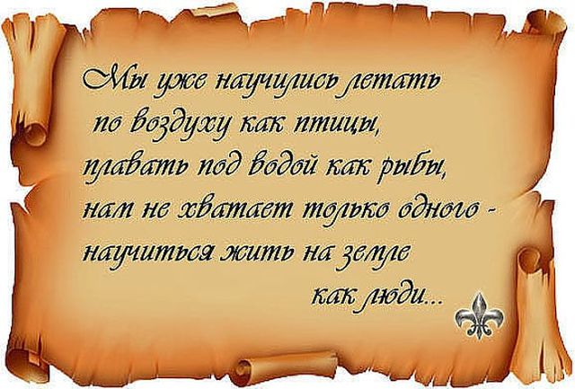 *МУДРОСТЬ ЖИЗНИ *