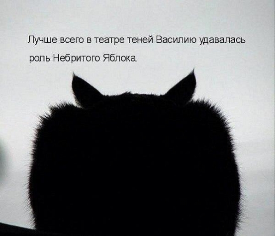 БРАТЬЯ НАШИ МЕНЬШИЕ...чтобы не скучали!