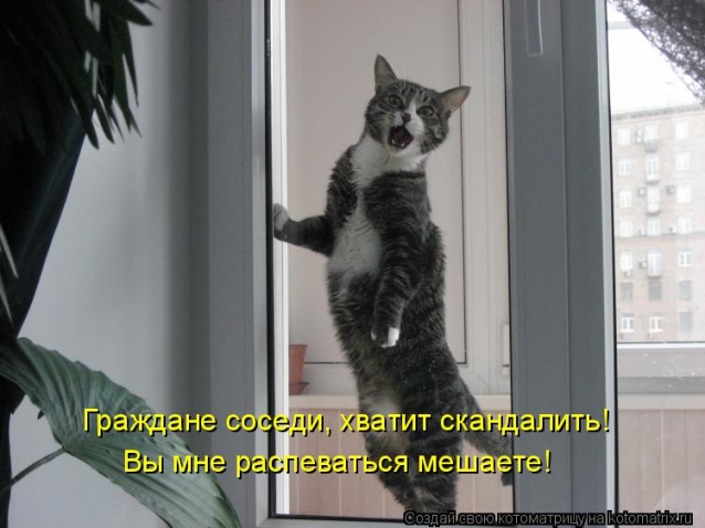 БРАТЬЯ НАШИ МЕНЬШИЕ...чтобы не скучали!