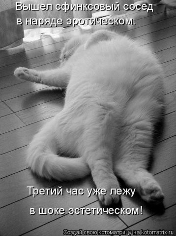 БРАТЬЯ НАШИ МЕНЬШИЕ...чтобы не скучали!