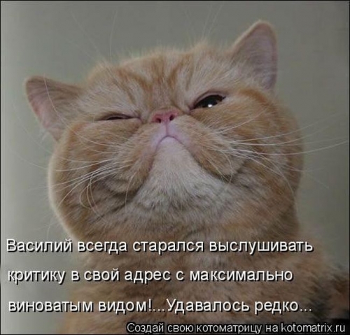 БРАТЬЯ НАШИ МЕНЬШИЕ...чтобы не скучали!