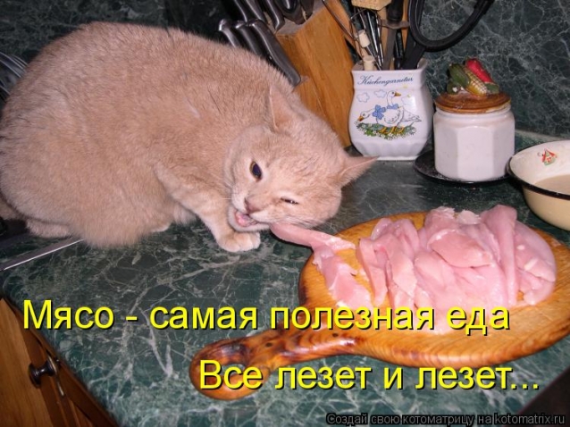 БРАТЬЯ НАШИ МЕНЬШИЕ...чтобы не скучали!