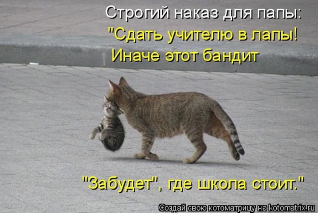 Братья наши меньшие-СУББОТНИЙ ПОЗИТИВ!
