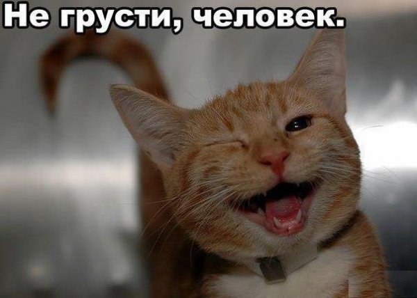 Братья наши меньшие-СУББОТНИЙ ПОЗИТИВ!