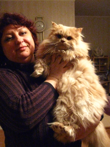 Идут коты, несут хвосты.
