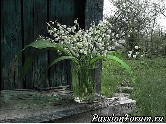 Времена года. Поэтические этюды.