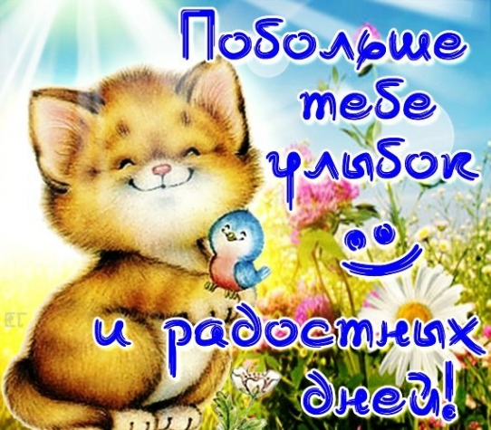 Подарков много не бывает!!! Их каждый ждет, о них мечтает!!!