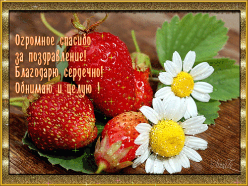 Запоздалая благодарность!