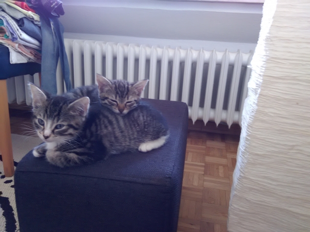 Кошмарики, продолжение.