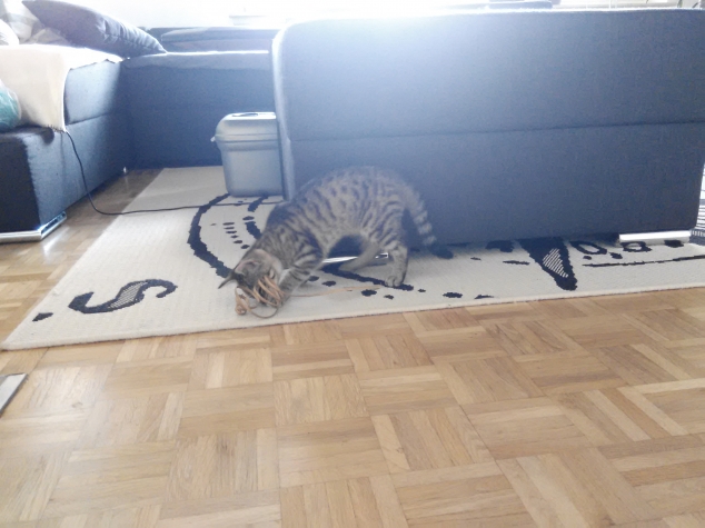 Кошмарики, продолжение.