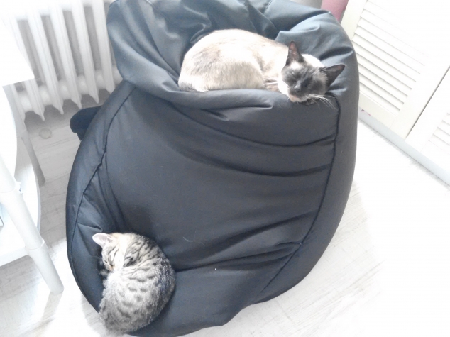 Кошмарики, продолжение.