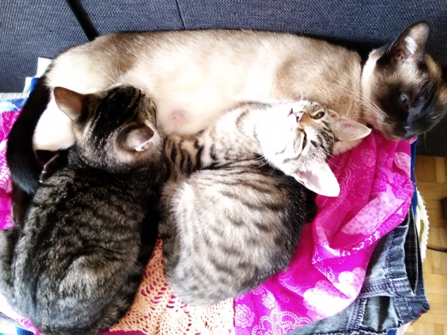 Кошмарики, продолжение.
