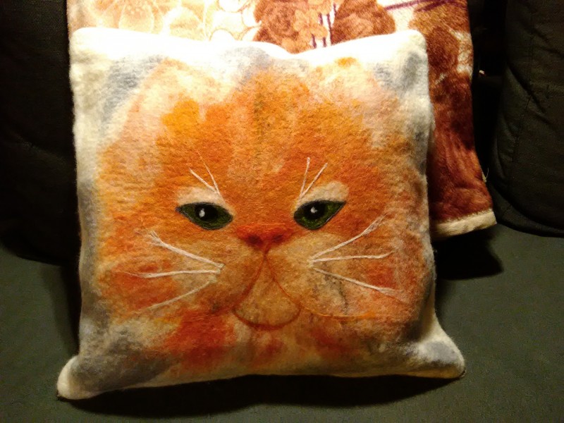 Котомордочка по обмену...