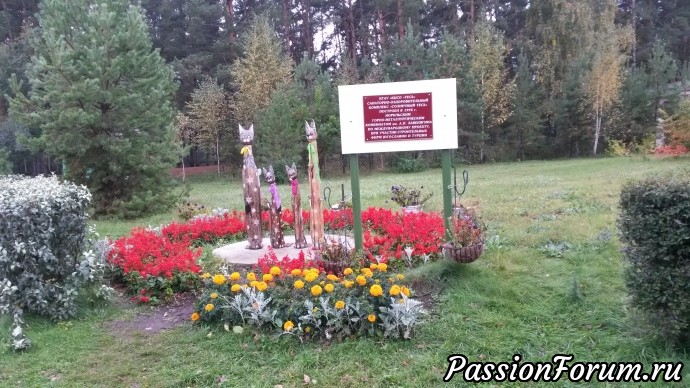 Я вернулась)