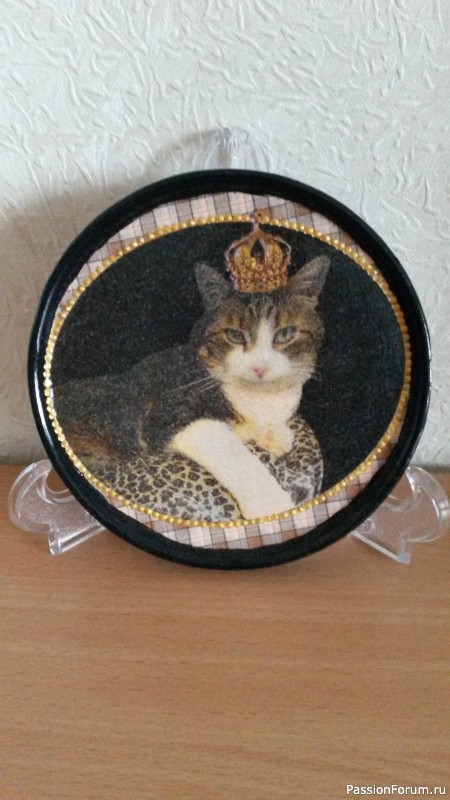 Кошки