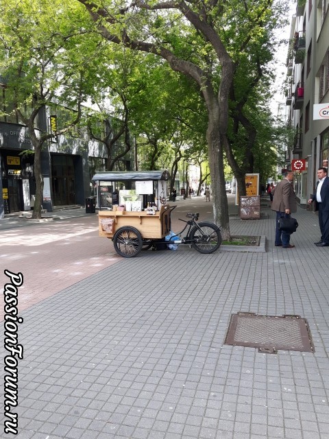 Такая она, Моя Братислава!...