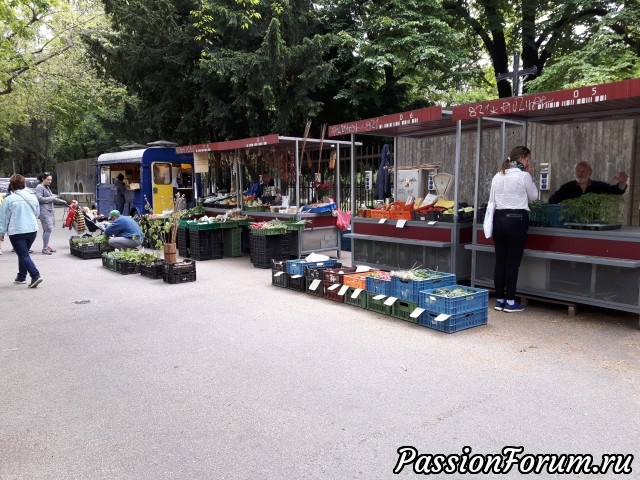 Такая она, Моя Братислава!...