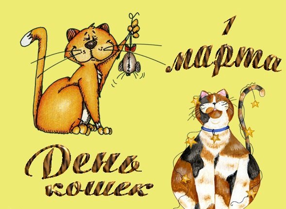 С праздником, дорогие кошковладельцы!
