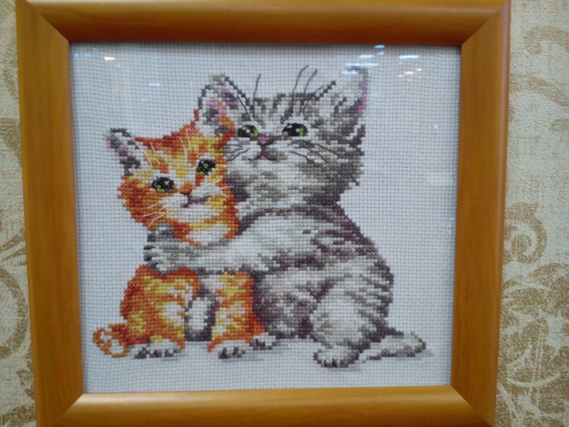 Котята