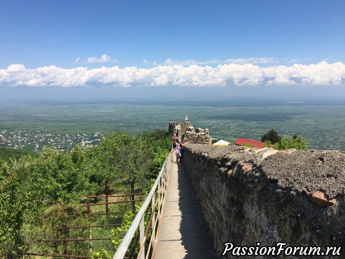 Алазанская долина, Грузия