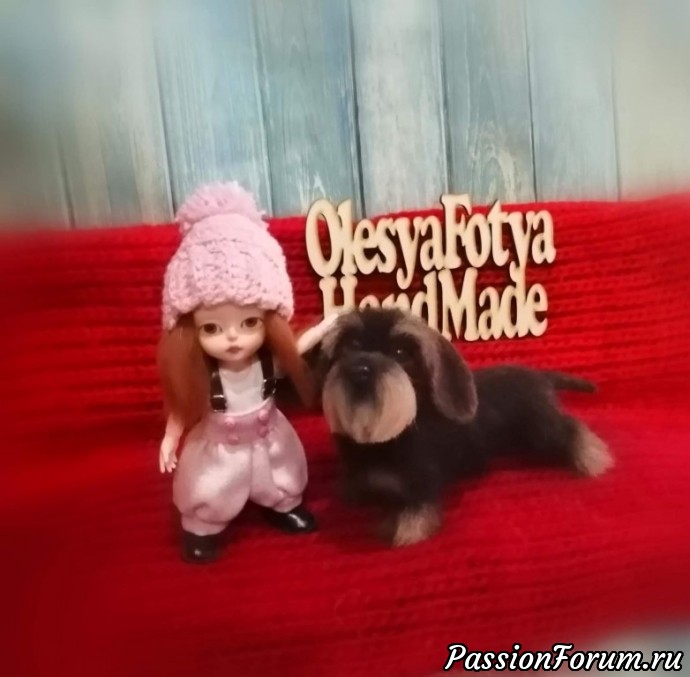 Жесткошерстная такса