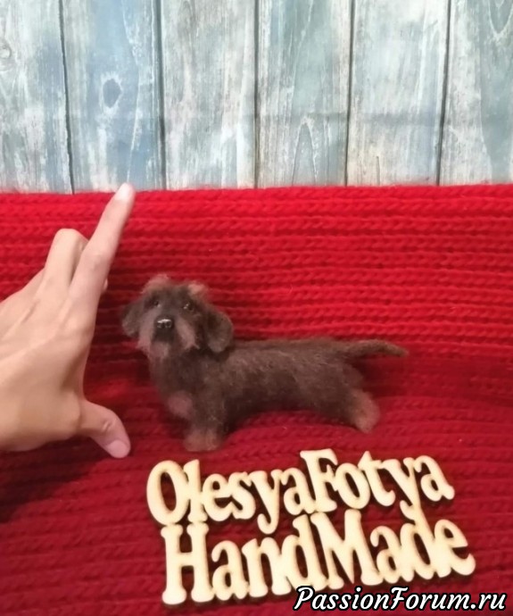 Жесткошерстная такса