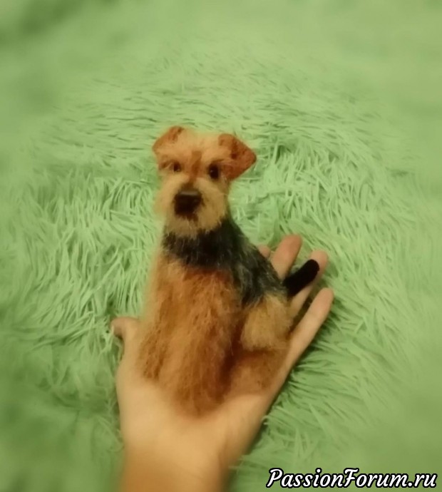 Эрдель терьер
