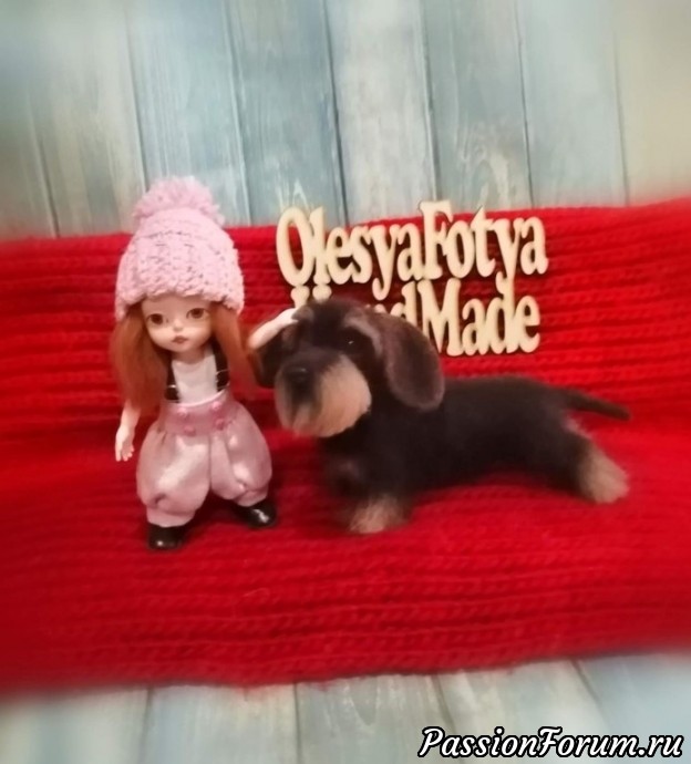 Жесткошерстная такса