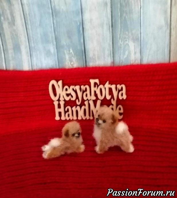 Мои микро шпицули