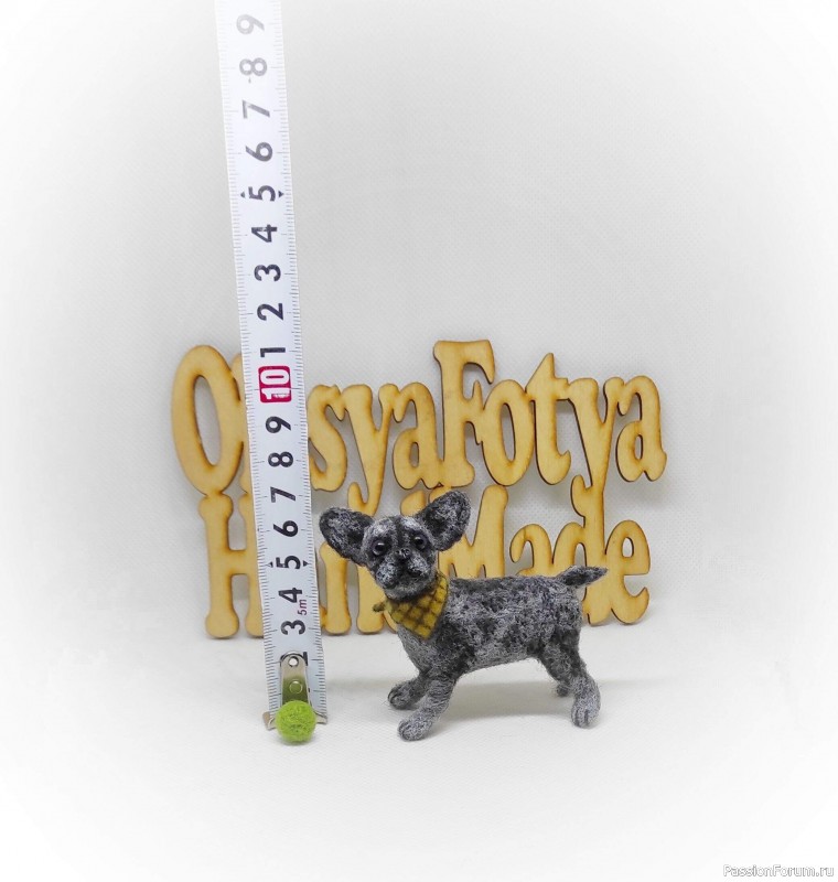 Щенок французского бульдога