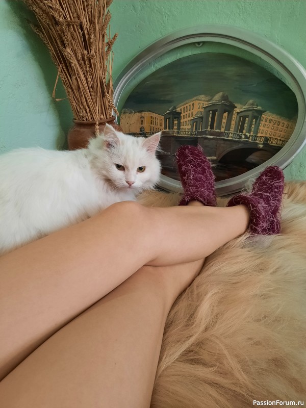 Когда коту делать нечего, он...