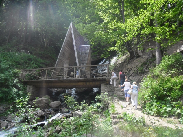 Закарпатье 2015