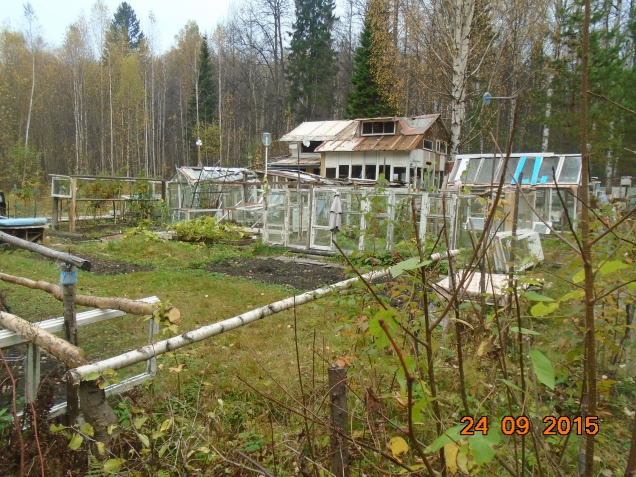 Дороги, дороги, как добрые руки.......