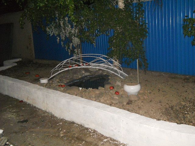 Очень хотела , чтобы дома был пруд!