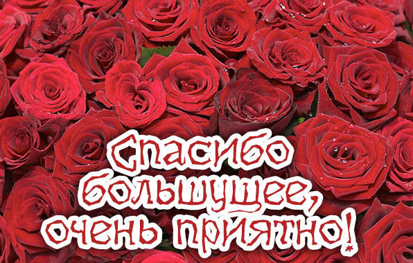 А мне пришло письмо от главнокомандующей Снегурочки и подрастающего Деда Мороза!!!!