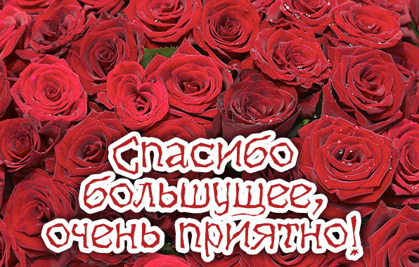 Наталья, спасибо за сюрприз!!!!!