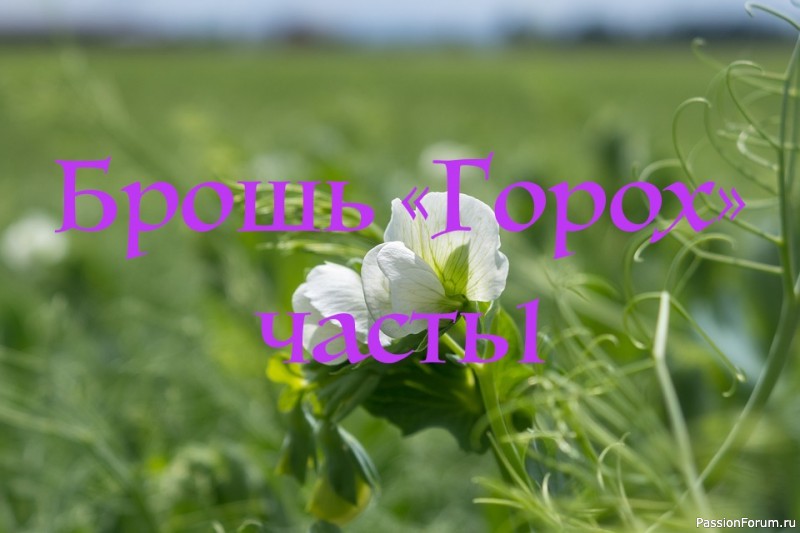 Брошь &quot;Горох&quot;