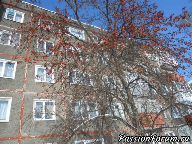 Шкатулки и кое-что ещё