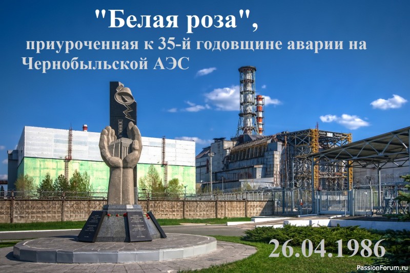 &quot;Белая роза&quot;.
