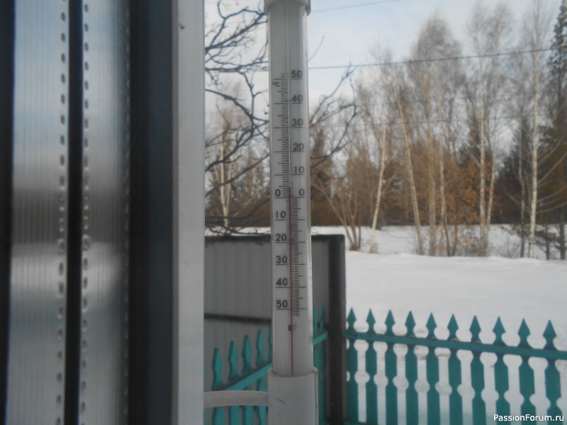 Год начался с капели