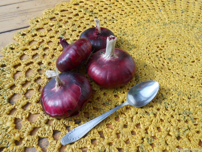 Ялтинский лук