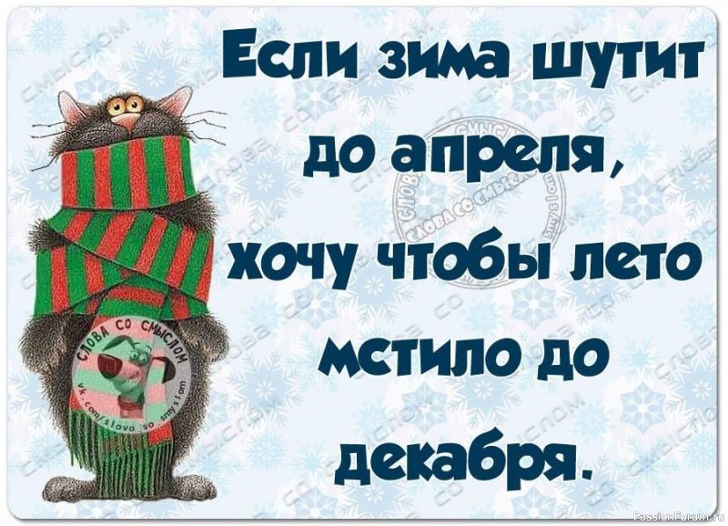 Классический берет