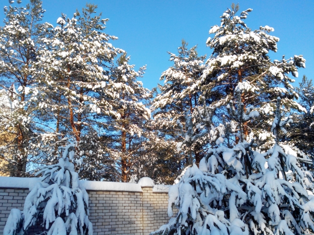 Болталка