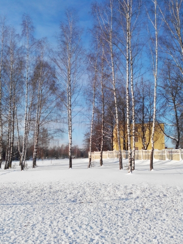 Болталка