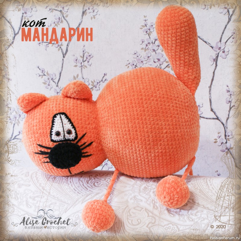 Кот Ти - Мандарин