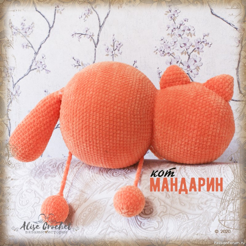 Кот Ти - Мандарин